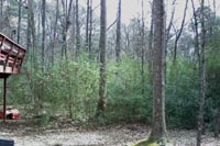 Debris Removal