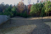 Natural Mulch Landscape