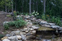 Natural Backyard Waterfall