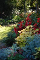 Flower Planting