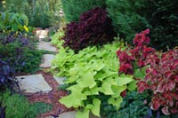 Atlanta Landscaping
