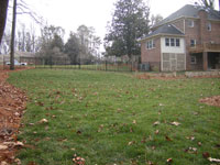 Backyard Drainage Solution