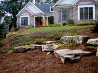 Natural Boulders