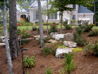 Natural Landscaping